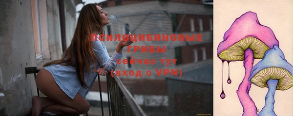 твердый Зеленодольск
