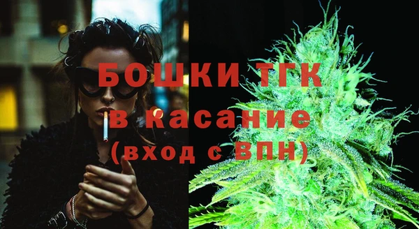 твердый Зеленодольск