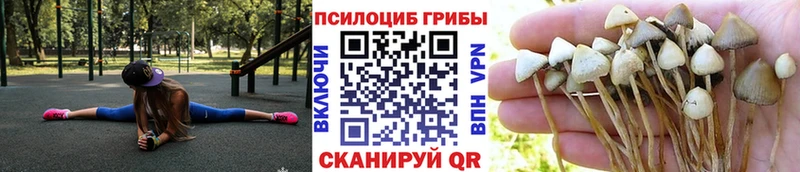 Купить закладки  Спас-Клепики  Галлюциногенные грибы ЛСД 